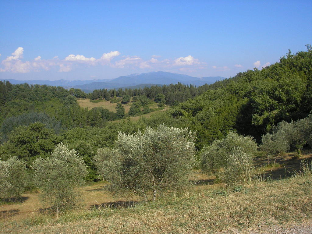Podere Capitignano 博尔戈圣洛伦索 外观 照片